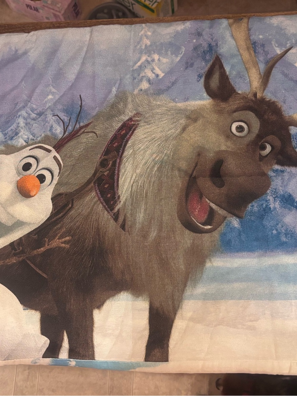 Frozen Themed Standard Pillow Case